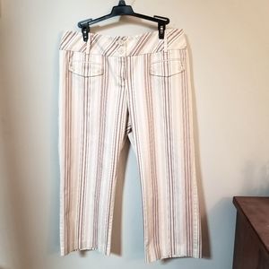 Ann Taylor Loft size 12 above the ankle pants